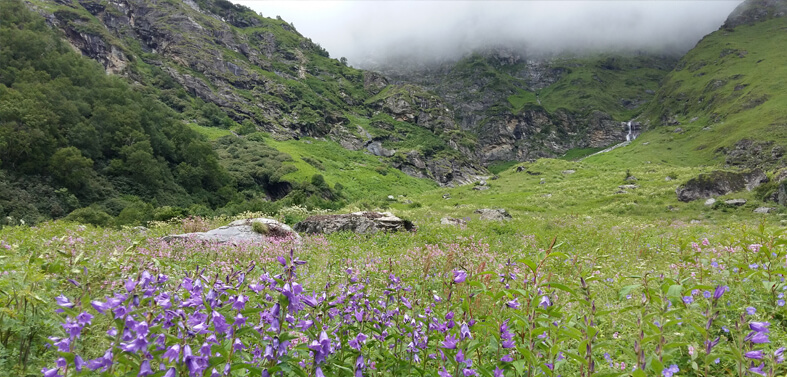Kuari Pass - Valley of Flowers Treks