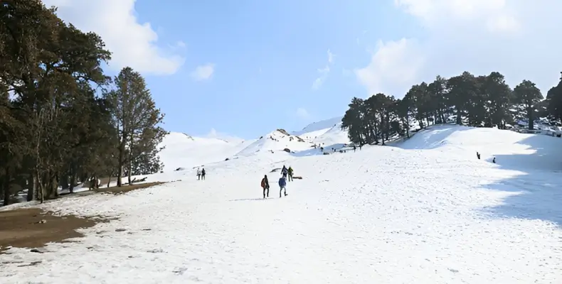 Auli - Gorson Bugyal Winter Trek