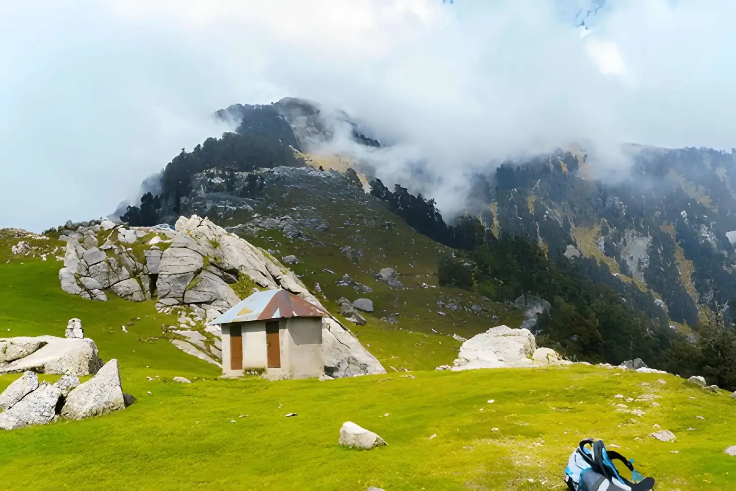 Dharamsala Jeep Safari