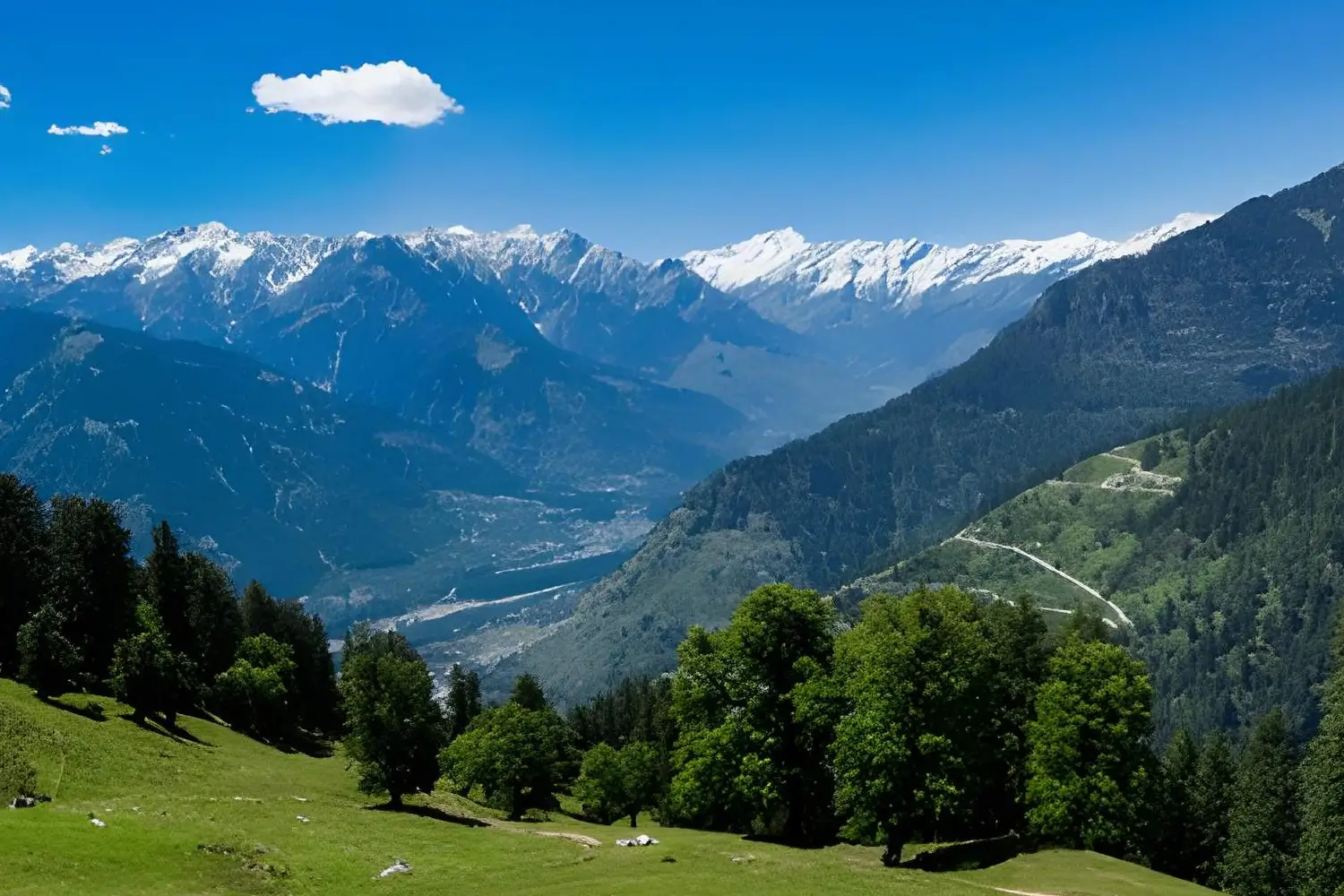 Jeep Safari in Himachal