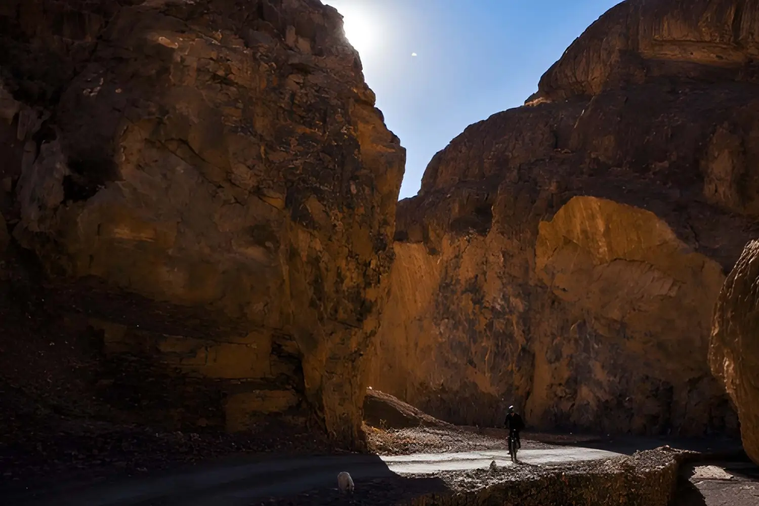 Mountain Biking in Himachal