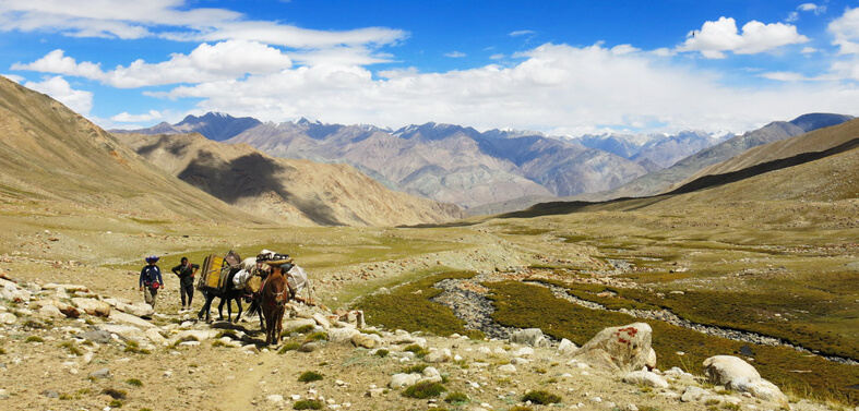 Nubra Valley Trek - Nubra Valley Trekking Tour in Ladakh