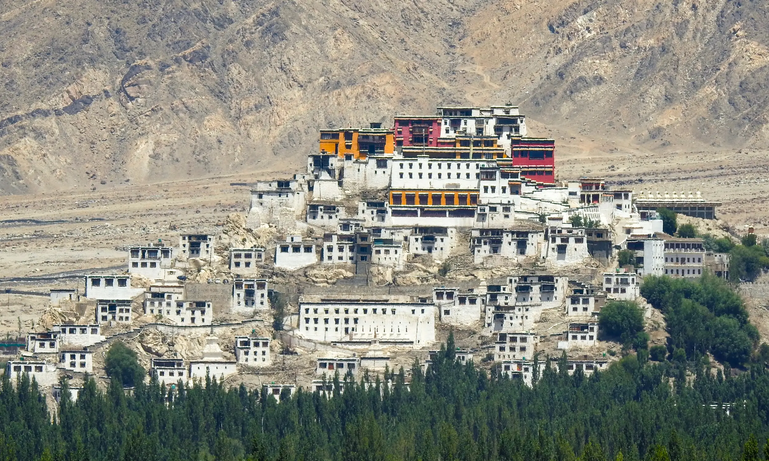 Trekking in Ladakh