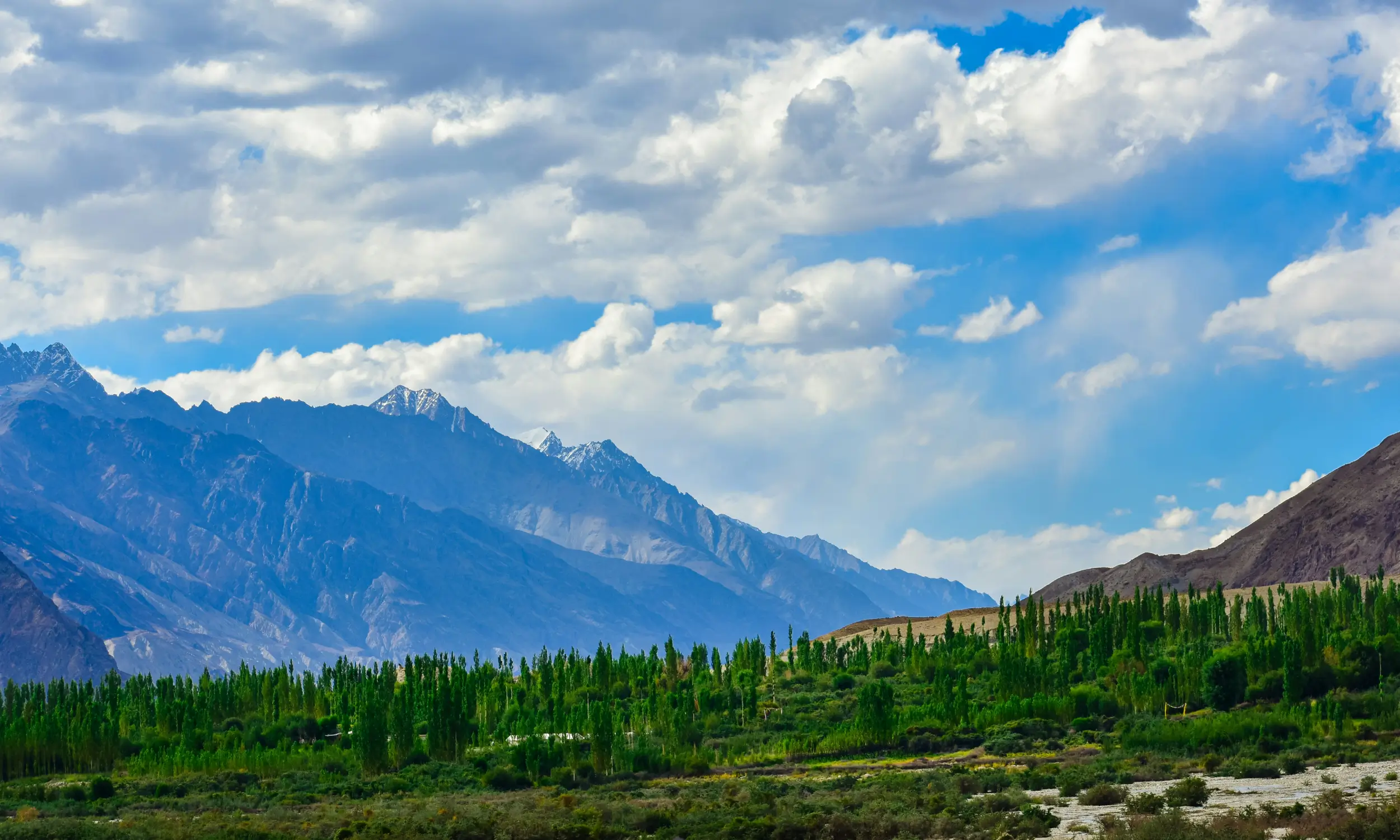Trekking in Ladakh
