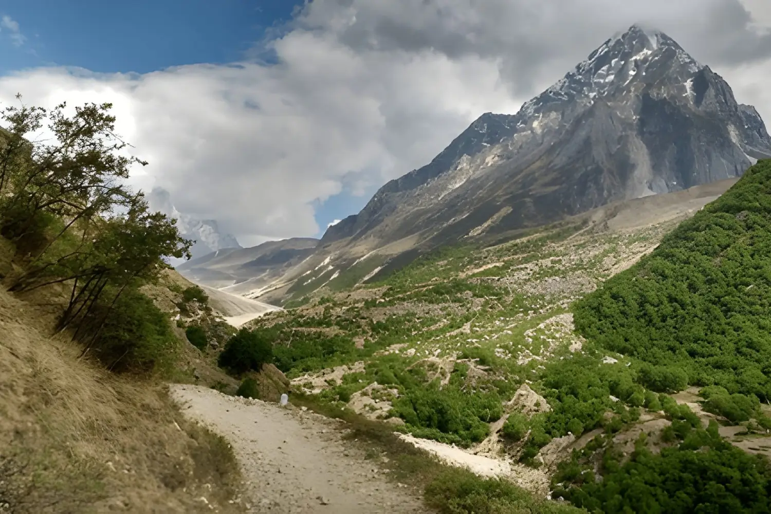 Gangotri Gaumukh Tapovan Trek