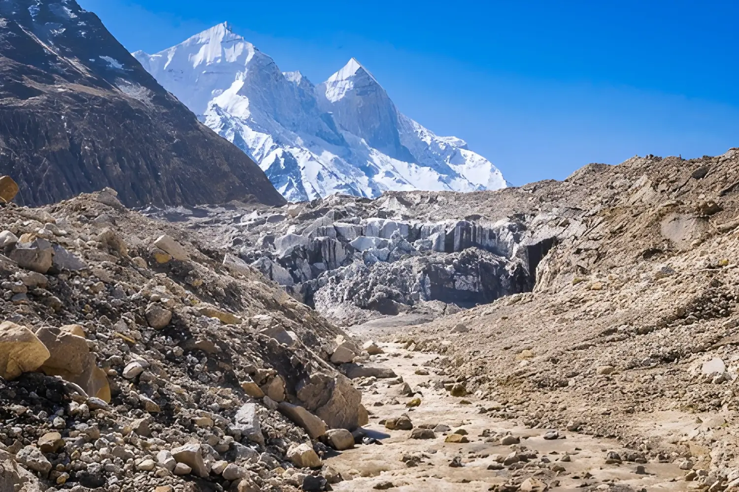 Gangotri Gaumukh Tapovan Trek