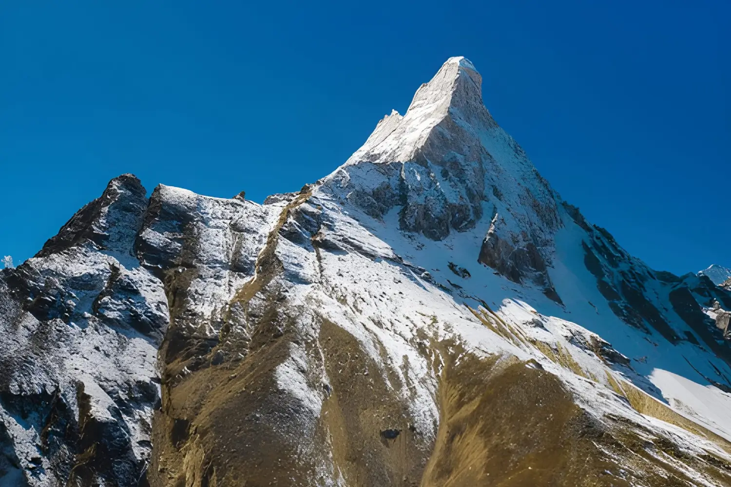 Gangotri Nanda Van Trek