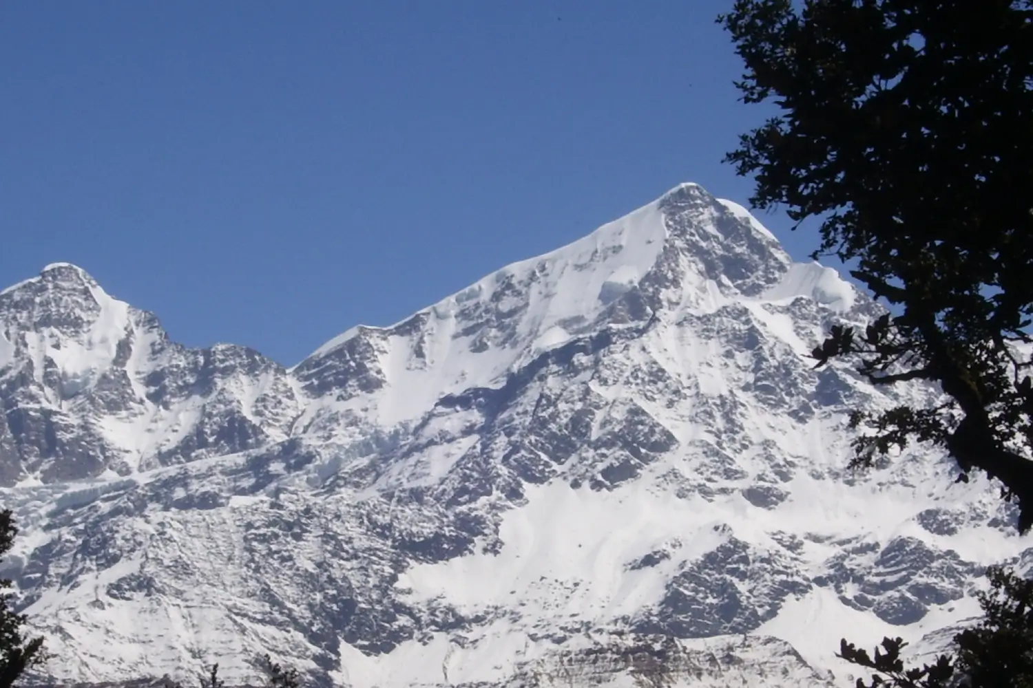 The Lord Curzon Trail - Kuari Pass Trek