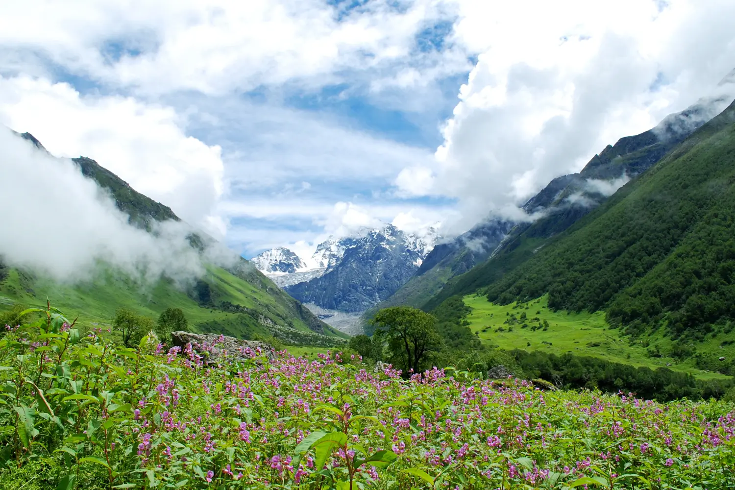 Valley of Flowers Trek