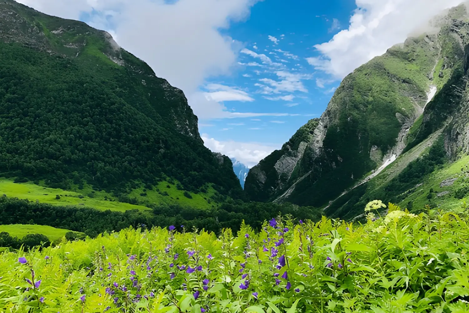 Valley of Flowers Trek