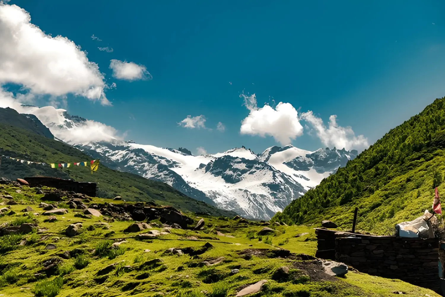 Pangi Valley Trek