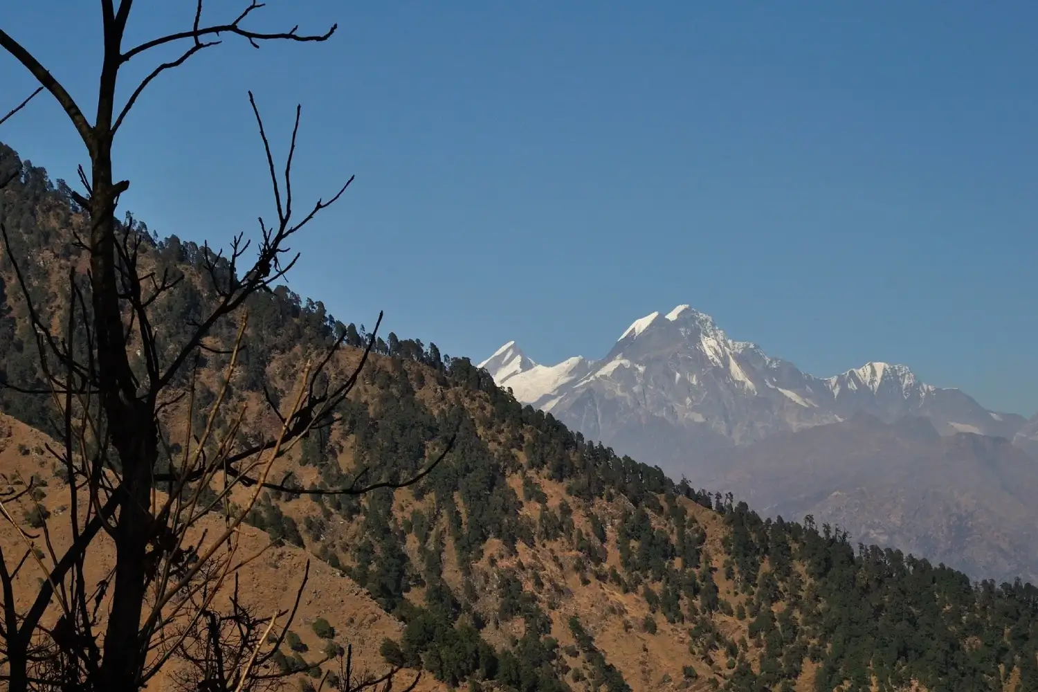Ralam Dhura Pass Trek