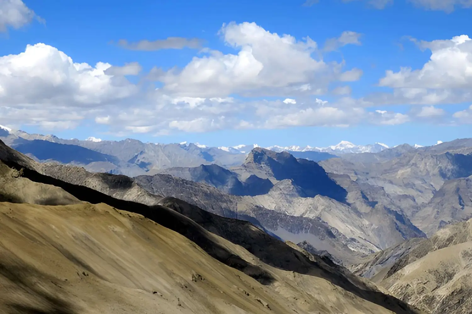 Markha Valley & Dzo Jongo Trek Ladakh