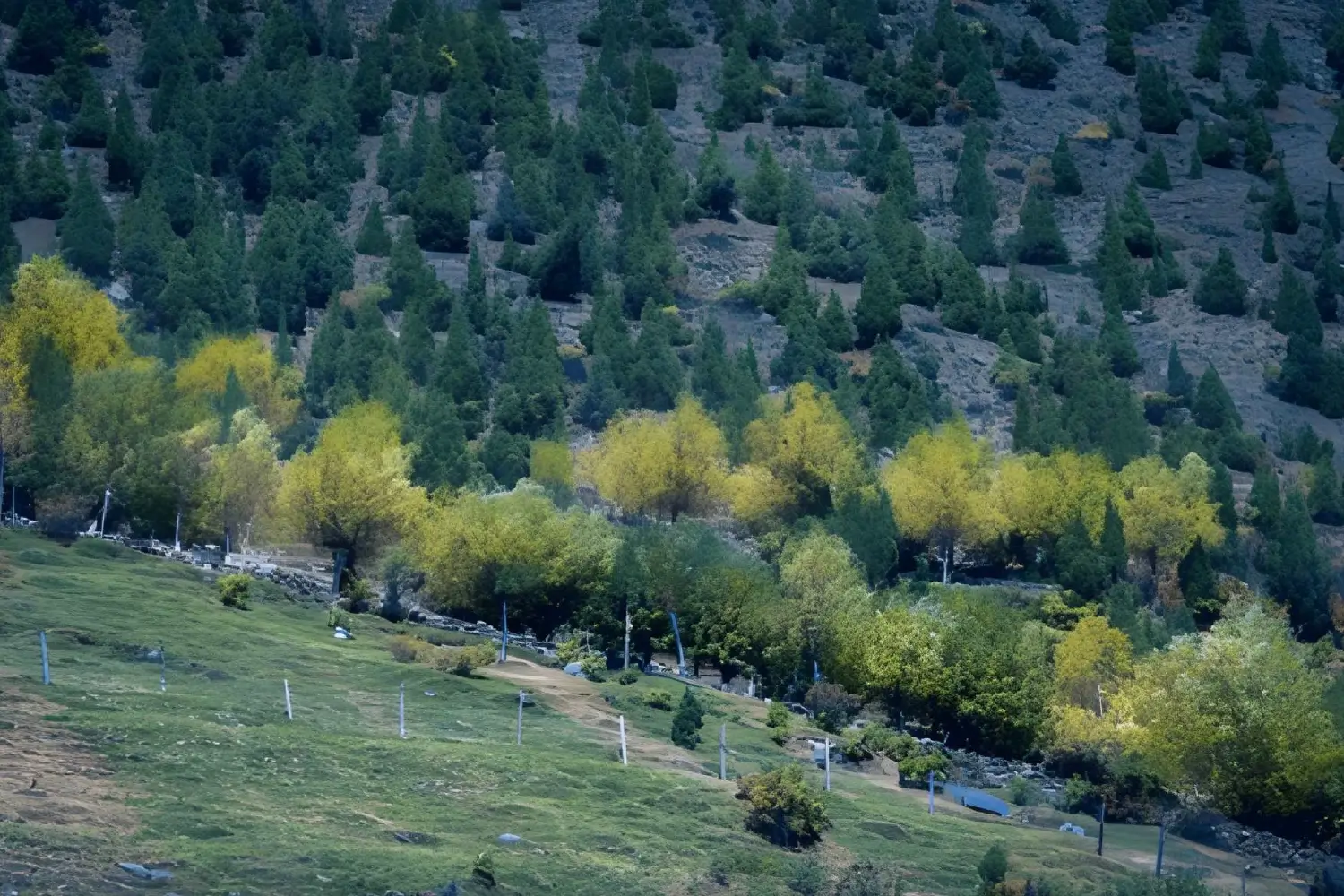 Miyar Valley and Kangla Jot Trek Ladakh