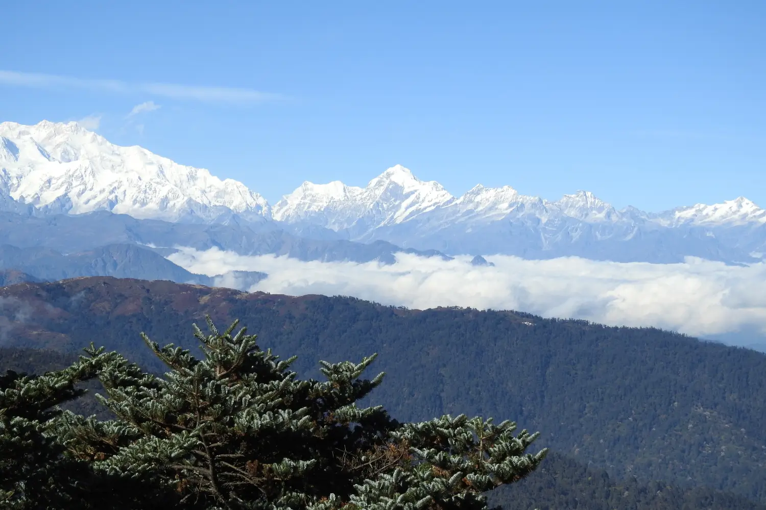 Singalila Ridge and Goecha La Circuit Round Trek