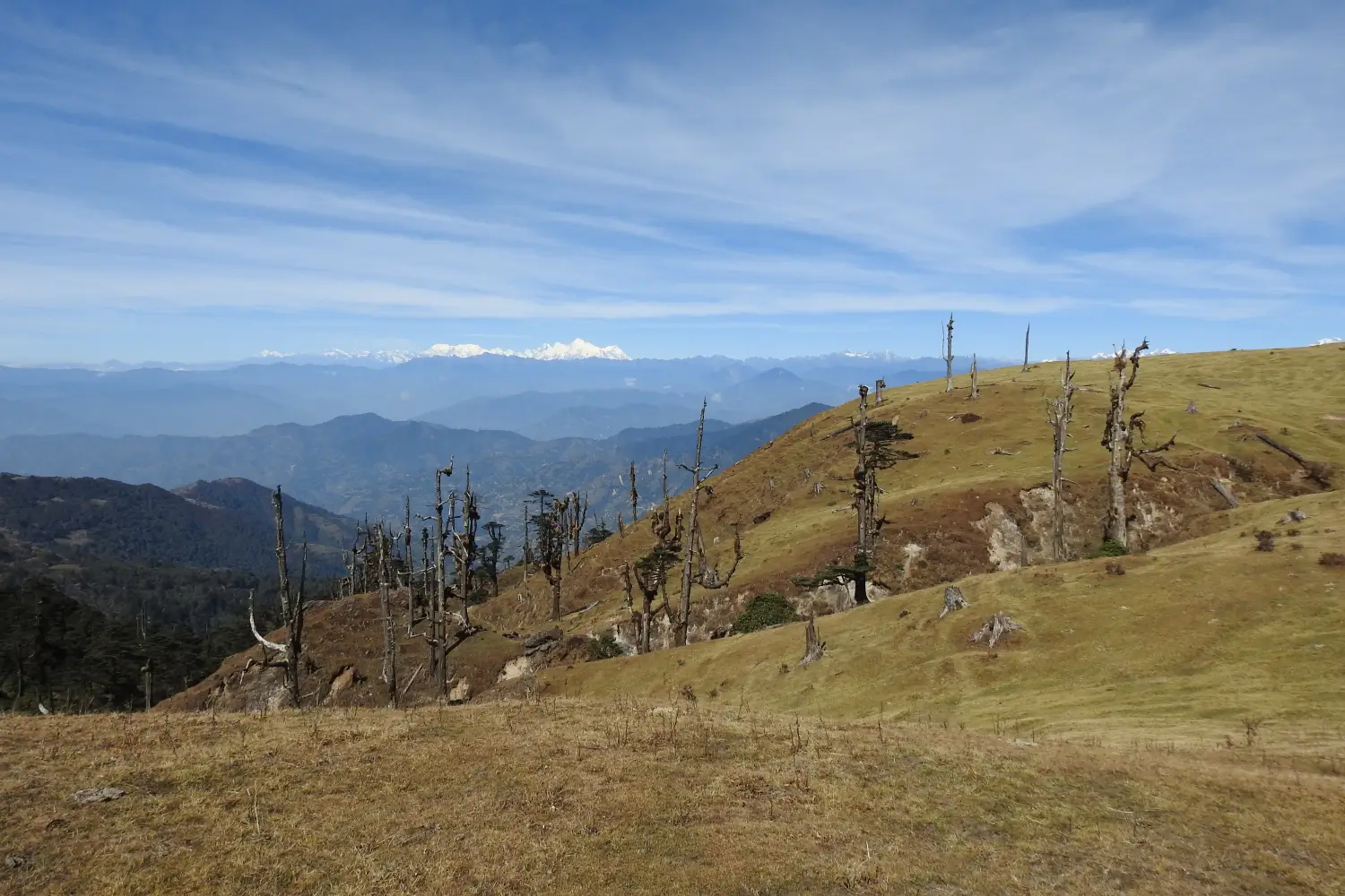 Singalila - Sandakphu Trek